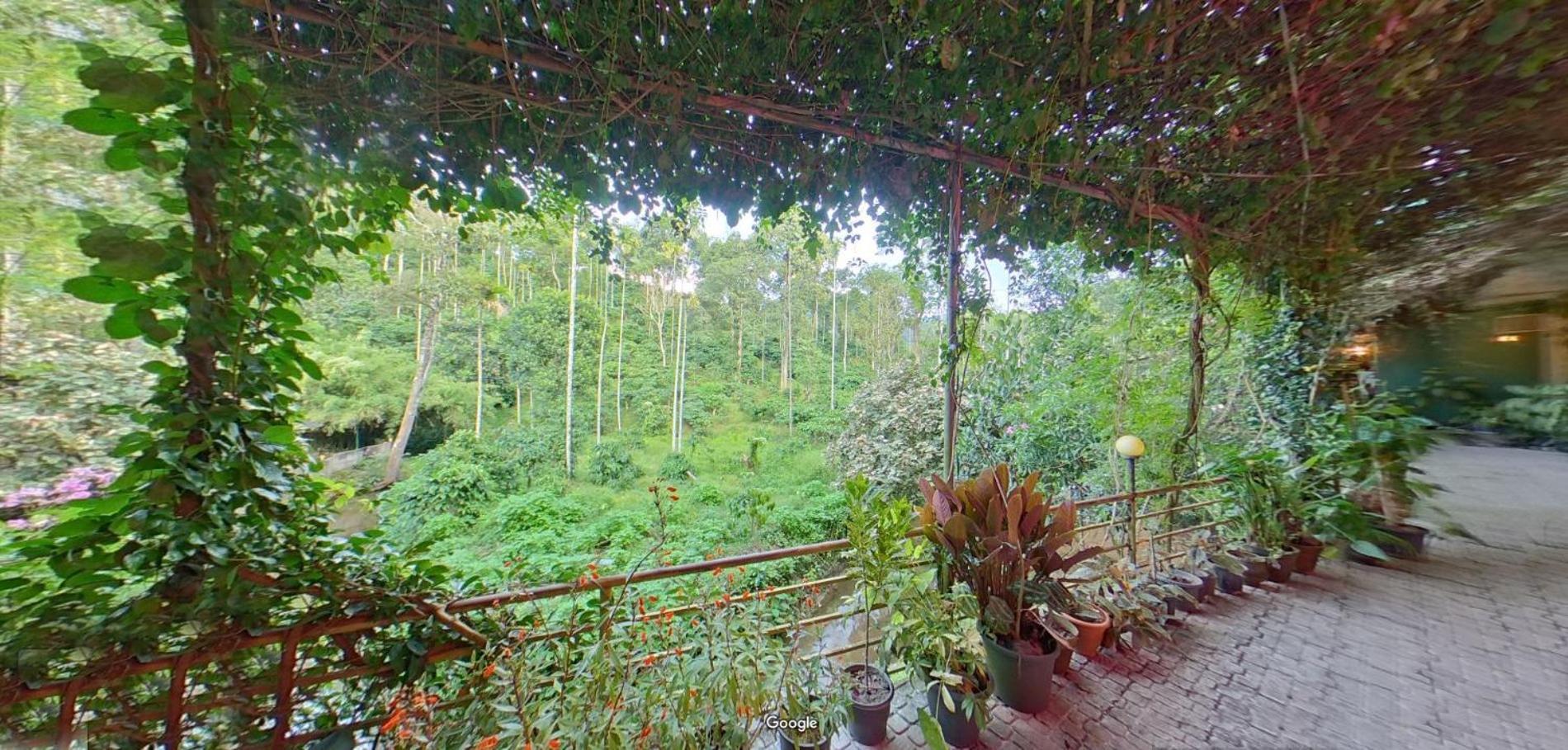 Bed and Breakfast Wayanad Royal Stream Калпетта Экстерьер фото